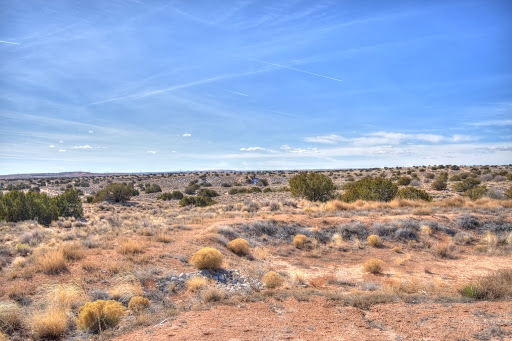 A serene desert landscape under a clear blue sky.