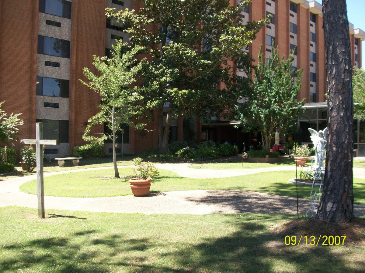 A sunny outdoor garden area in front of a multi-story building with trees and potted plants.