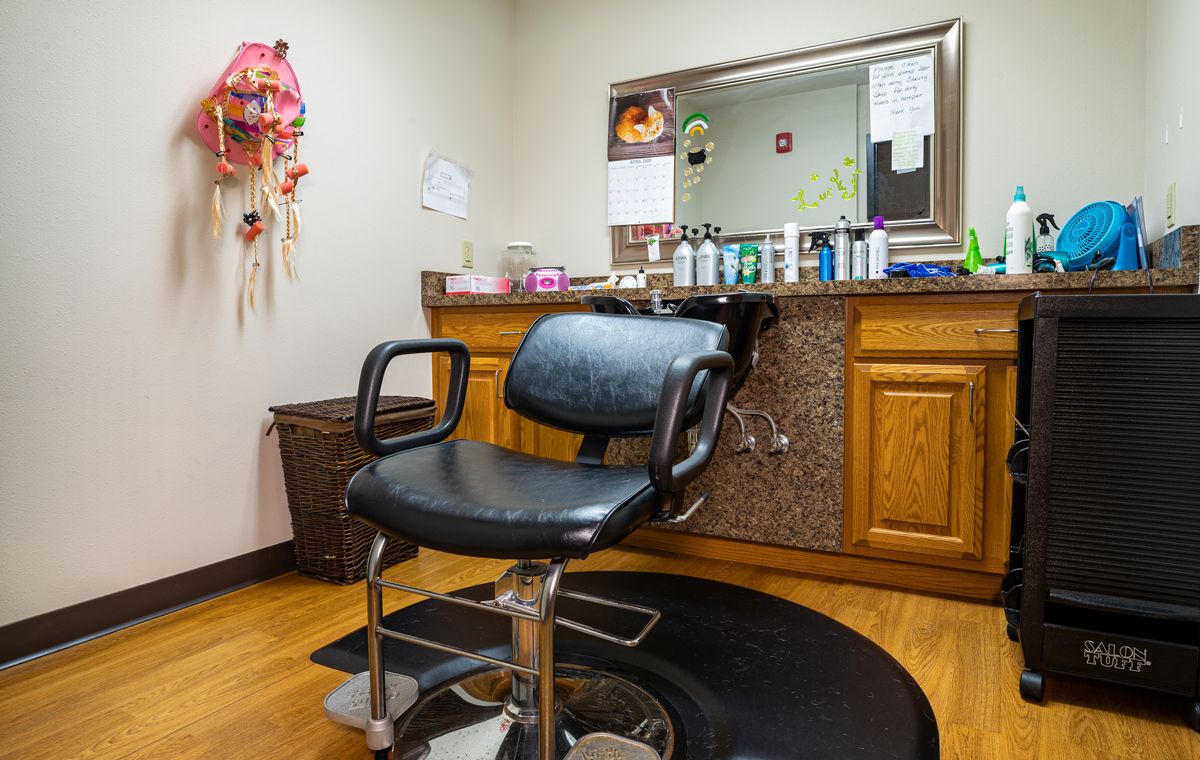 A cozy hair salon setup featuring a barber chair, mirror, and an array of hair products.