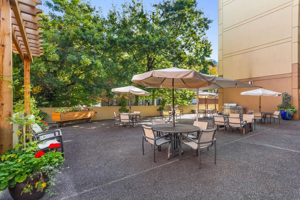 A sunny outdoor patio area with tables and chairs under large umbrellas, surrounded by trees.