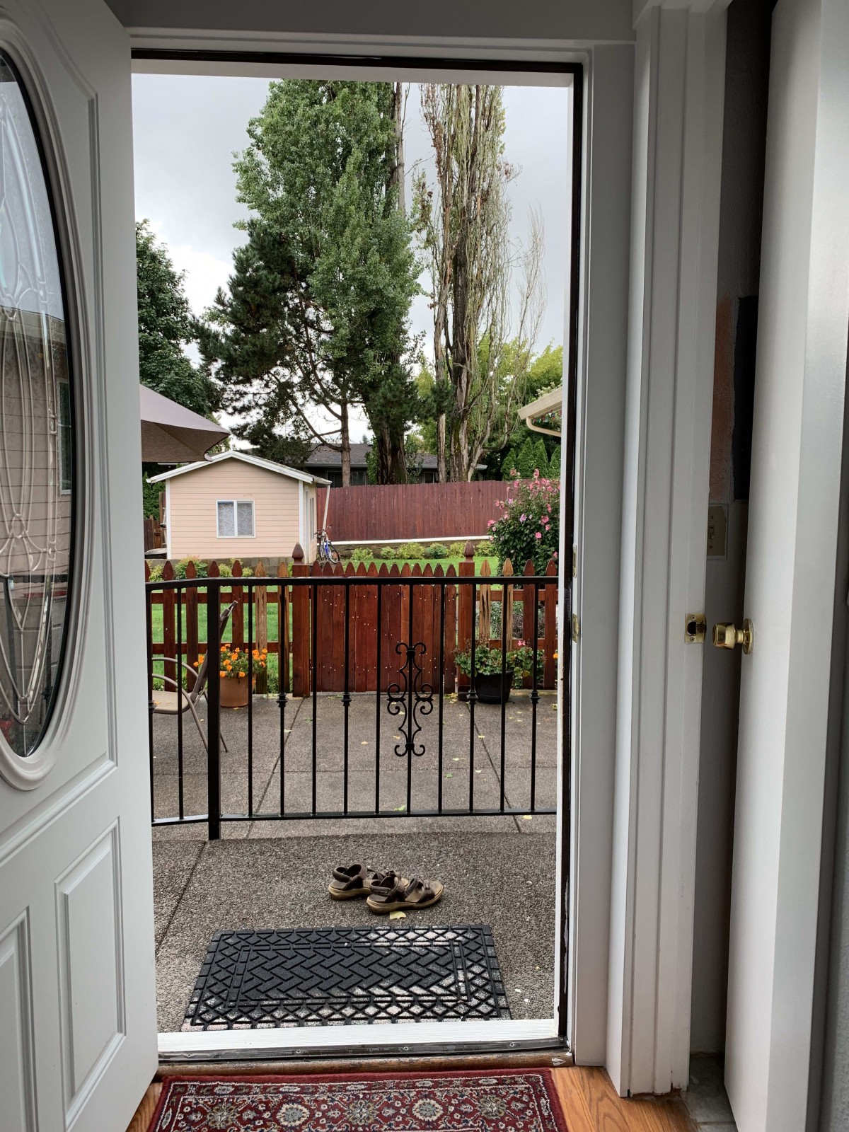 A group of ducklings on a patio just outside an open door, with a fenced backyard in the background.