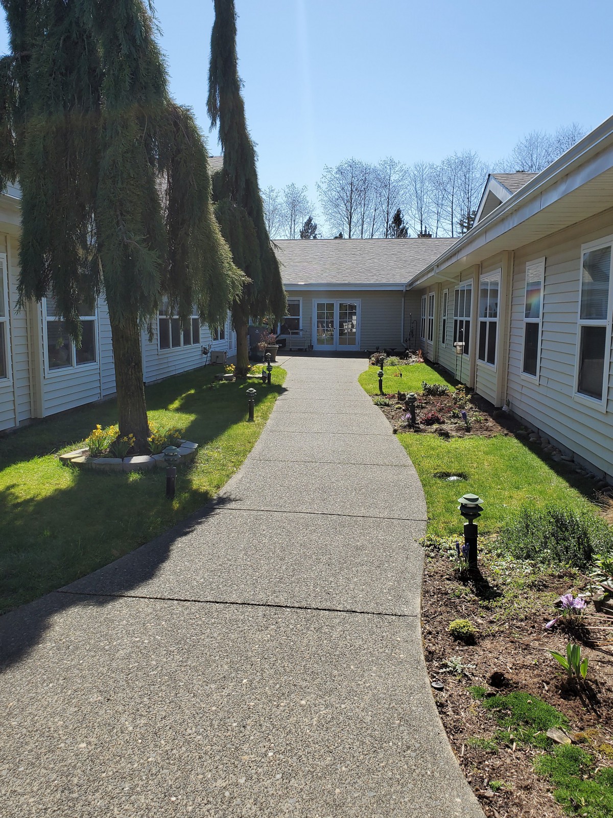 A sunny pathway between two buildings with landscaped greenery.