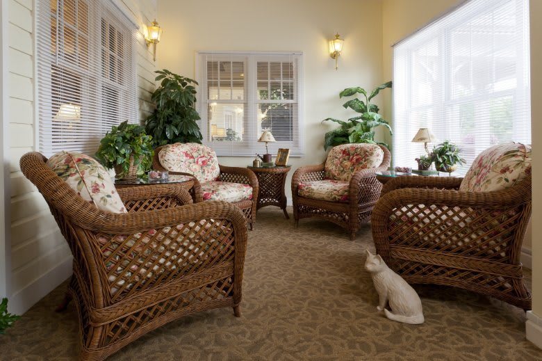 A cozy sunroom with wicker furniture and a cat resting on the floor.