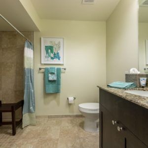 A modern bathroom with a shower, toilet, and sink, featuring light decor and teal accents.