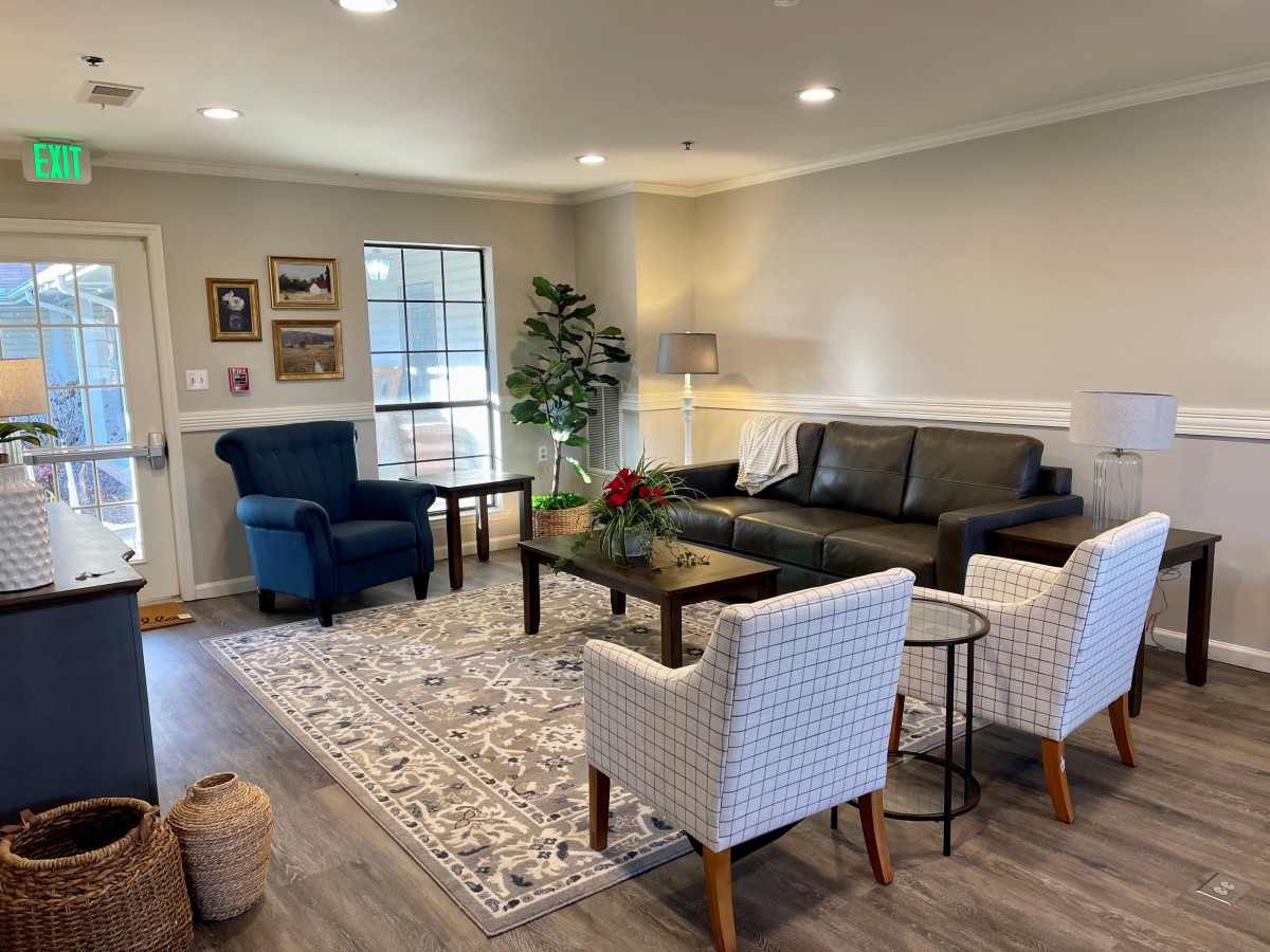 A cozy living room featuring a dark sofa, two white chairs, a blue armchair, and a patterned rug, complemented by wall art and indoor plants.