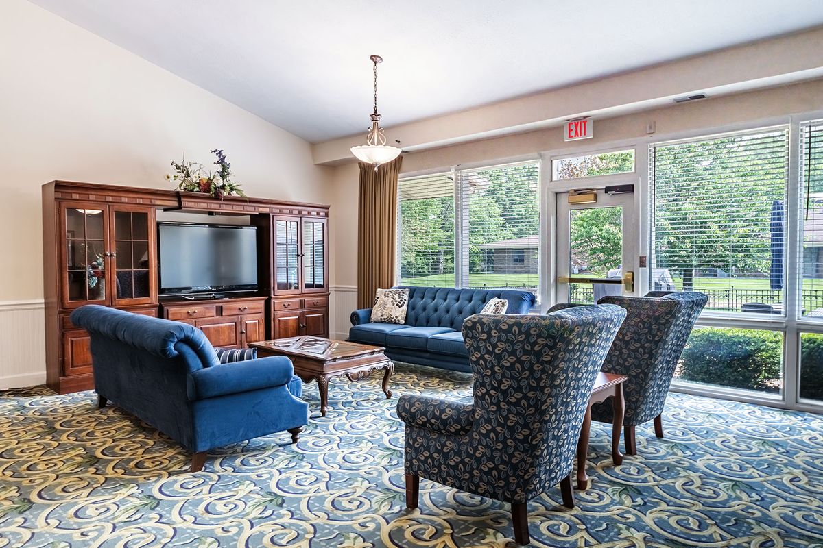 A cozy living room with blue sofas, patterned chairs, a wooden cabinet, and a television, illuminated by natural light from large windows.