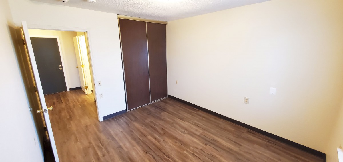 A minimalist empty room with hardwood flooring and a closet.