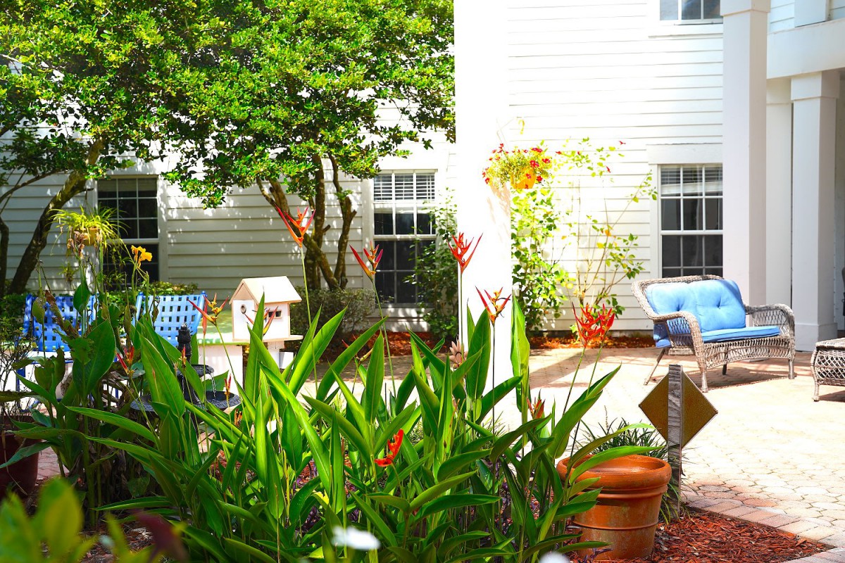 A sunny garden patio featuring lush green plants and comfortable outdoor furniture.