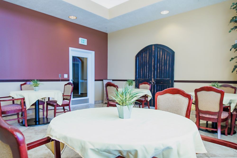 A modern, furnished dining area with tables, chairs, and a decorative plant.
