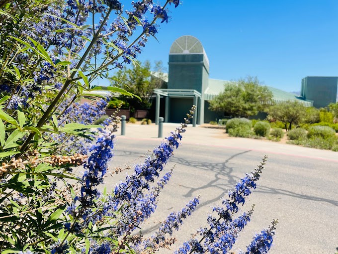 Fiesta Park Rehab