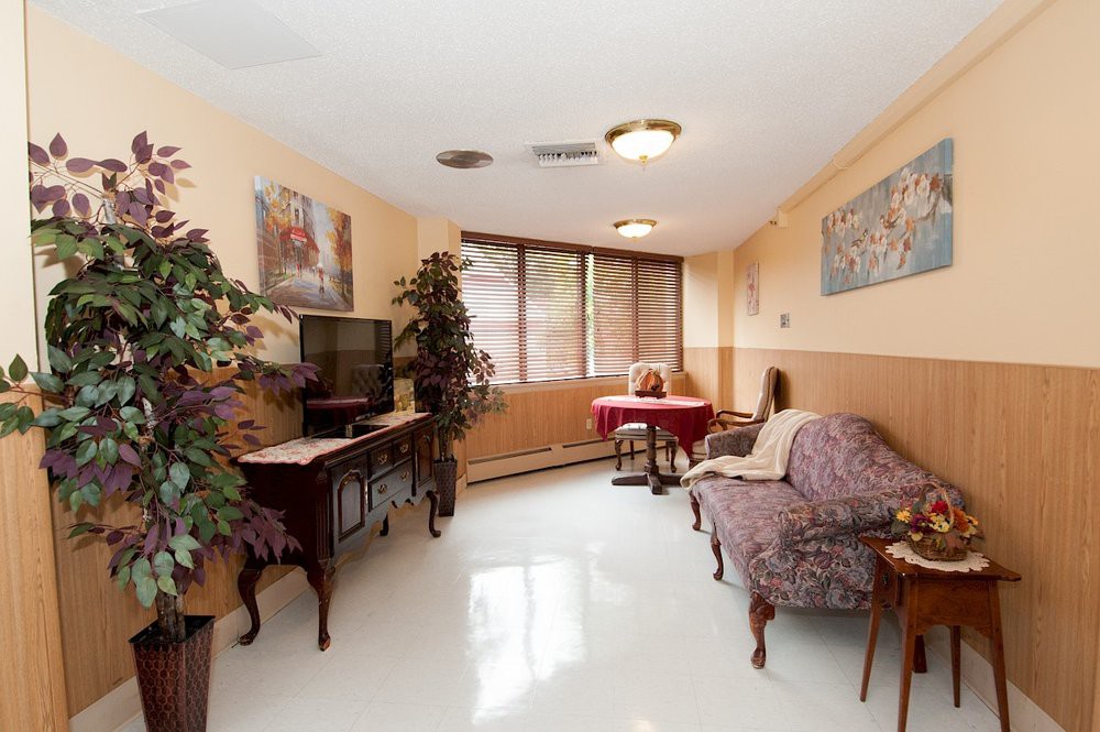 A cozy living room with vintage furniture, a television, and decorative plants by the window.