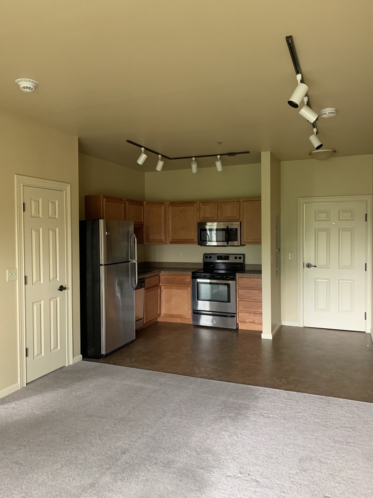 Modern apartment kitchen with stainless steel appliances and track lighting.