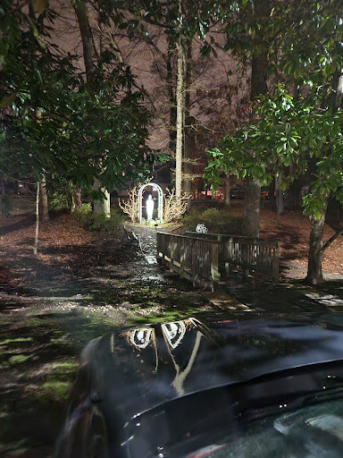 An eerie forest scene at night with a illuminated pathway reflecting in the water.