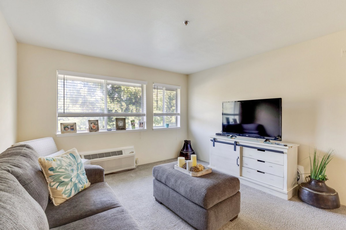 A cozy living room with a sofa, television, and large windows bringing in natural light.