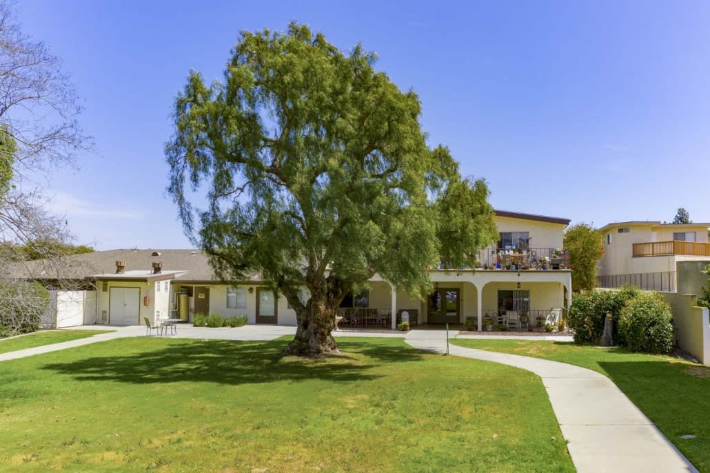 A spacious suburban house with a large tree and well-maintained lawn.