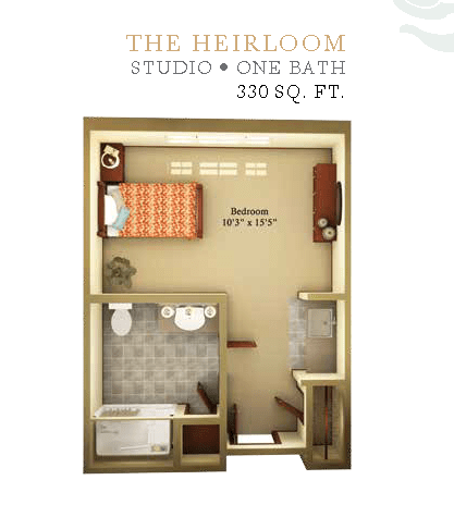 Floor plan of a 330 sq. ft. studio apartment with one bath.
