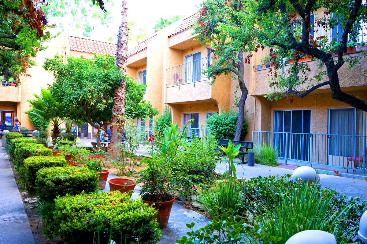 A lush courtyard filled with vibrant greenery and potted plants in front of a two-story building.