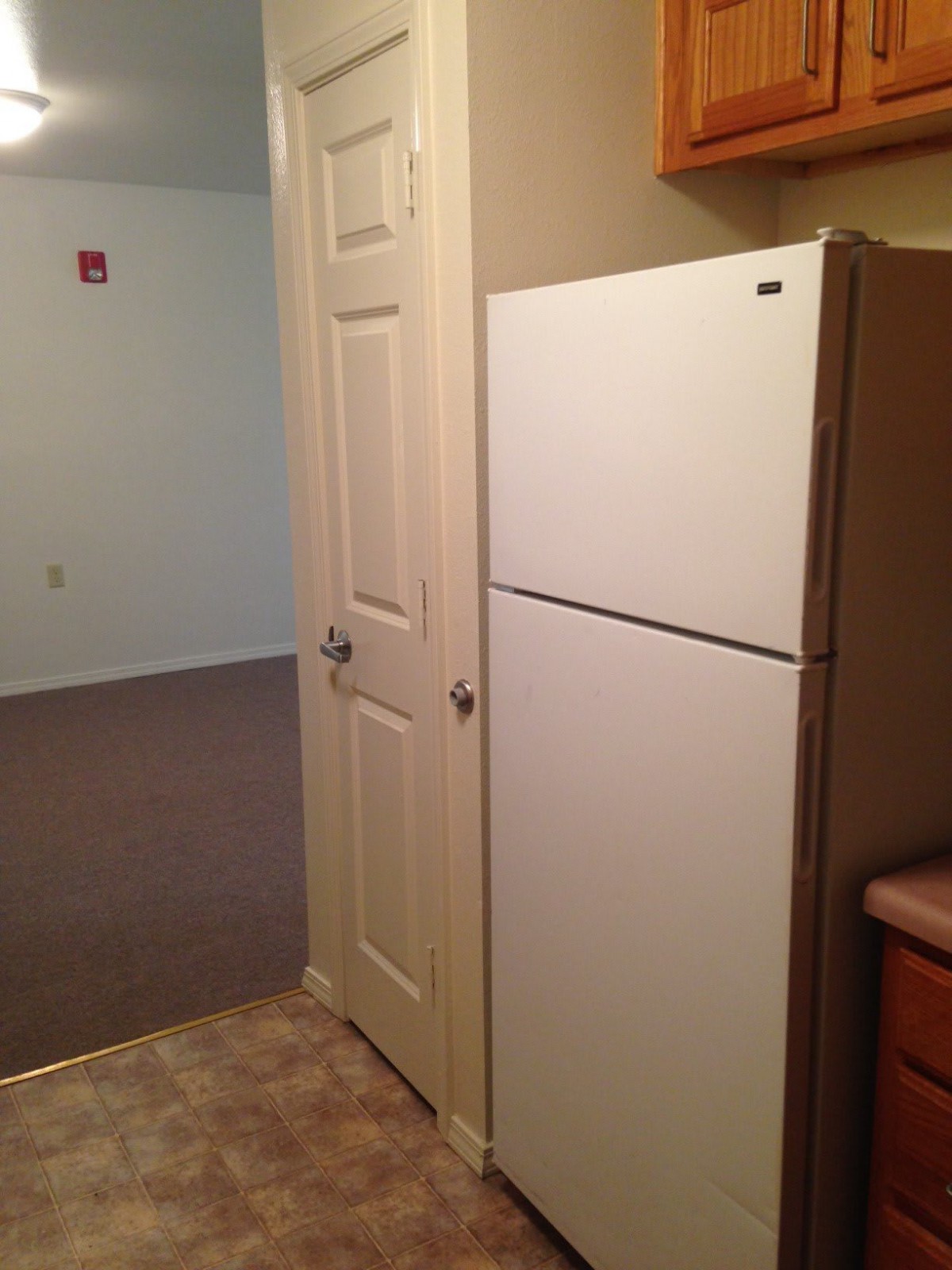 A small kitchen area featuring a refrigerator and adjacent door.