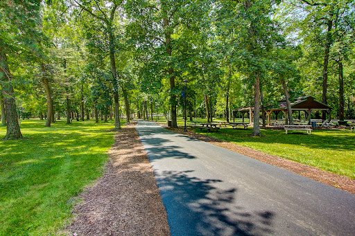 A serene pathway winding through a lush green park, surrounded by tall trees.
