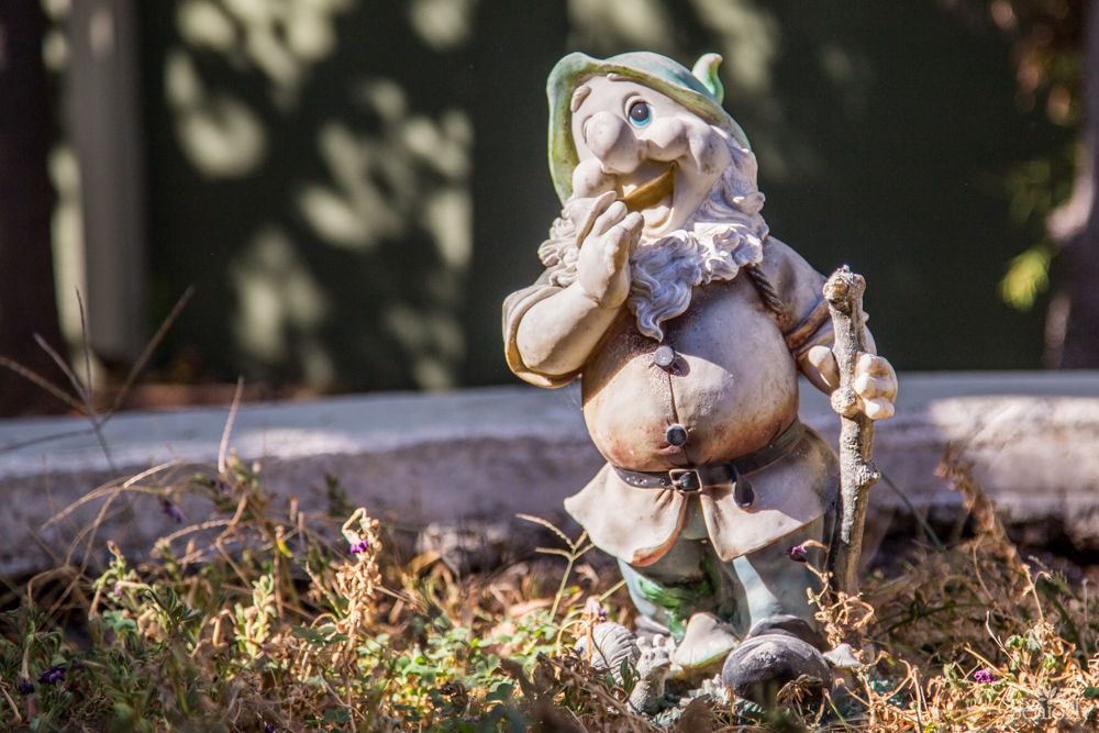 A whimsical garden gnome statue standing in the grass.