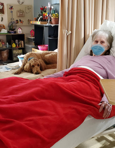 An elderly woman resting in bed with a cozy red blanket and her loyal dog nearby.