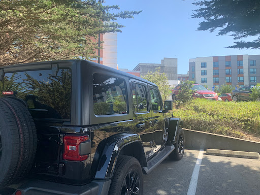 A black SUV parked in an urban area surrounded by greenery.