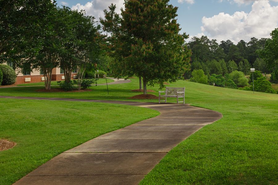 A serene park with a winding pathway surrounded by lush greenery and a bench.