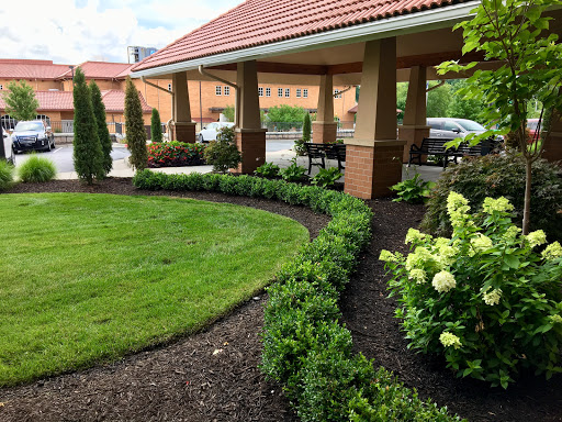 A well-maintained garden area featuring a curved pathway and lush greenery in front of a building.