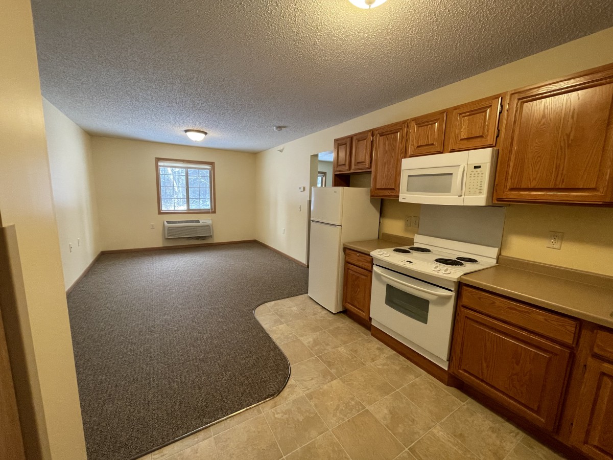 A small apartment interior featuring a compact kitchen and living area.