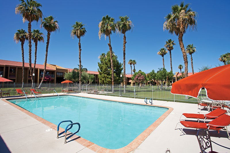 An outdoor swimming pool surrounded by palm trees and lounge chairs on a sunny day at a resort.