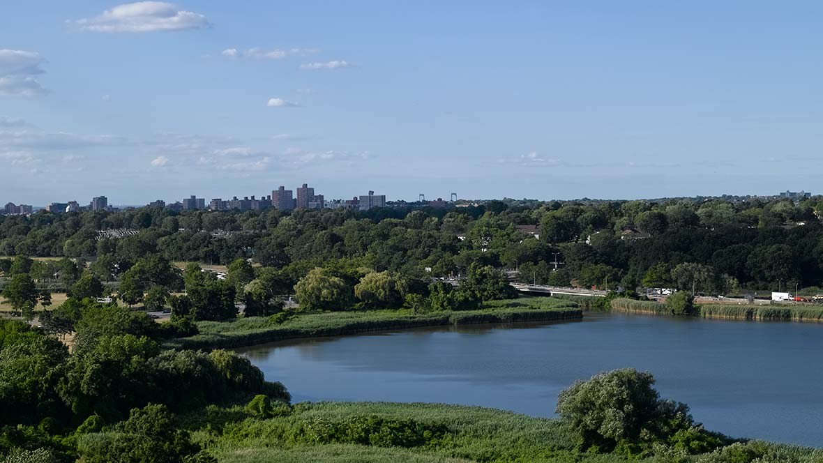 A scenic view of a lake surrounded by lush greenery with a city skyline in the background.