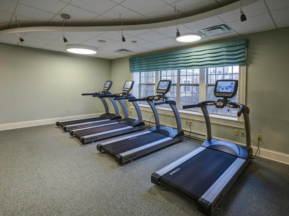 A spacious gym room featuring multiple treadmills lined up near large windows.