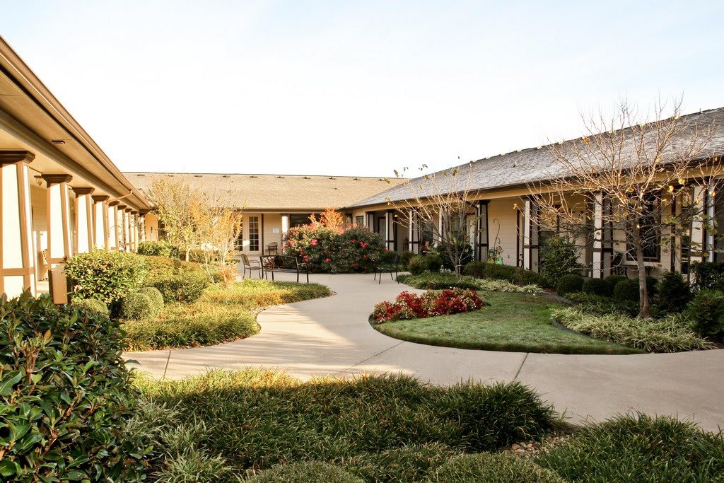 A serene courtyard featuring lush greenery and a winding pathway.