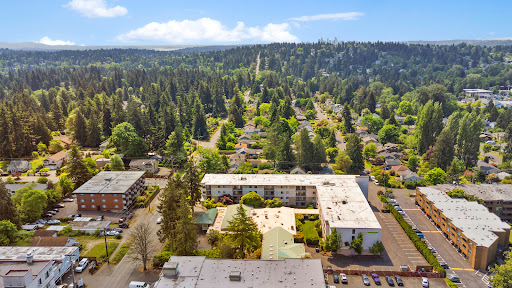 A serene aerial view of a suburban residential area surrounded by lush greenery and trees.
