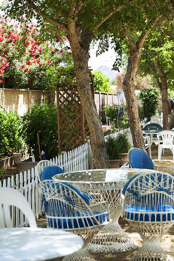 A charming garden cafe with outdoor seating surrounded by lush greenery and trees.