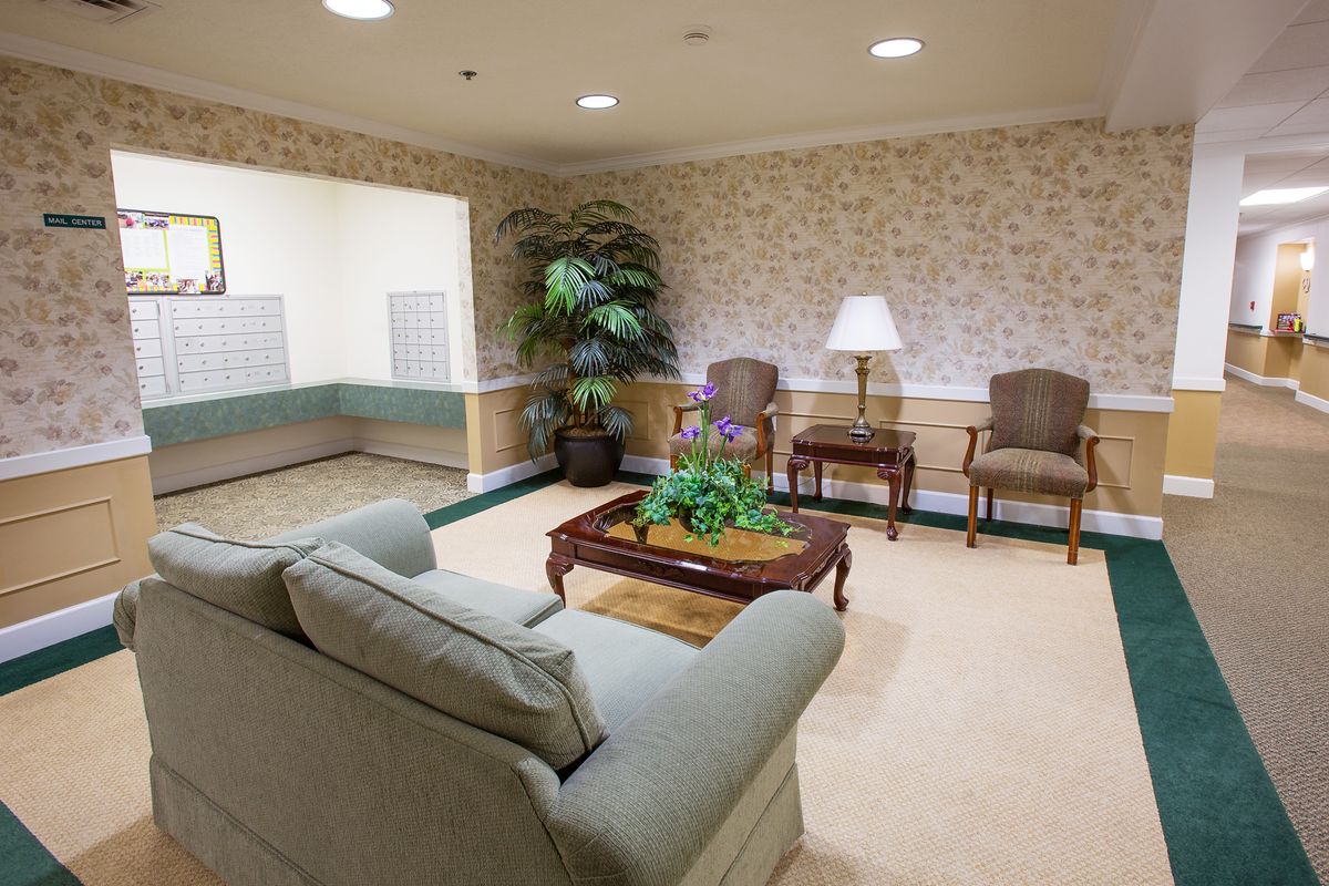 A cozy living room with a sofa, chairs, coffee table, and indoor plant, decorated in a warm and inviting style.