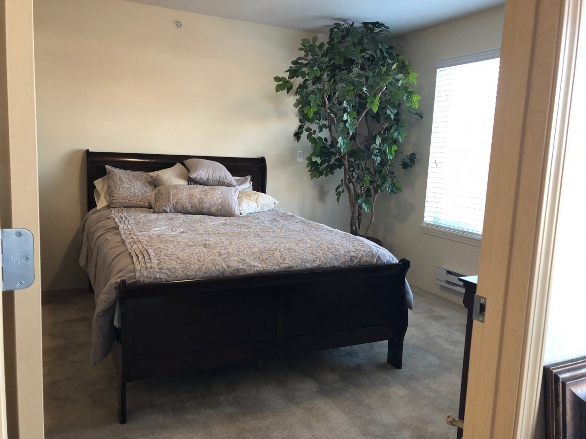 A cozy bedroom with a large bed, decorative pillows, and a potted plant by the window.