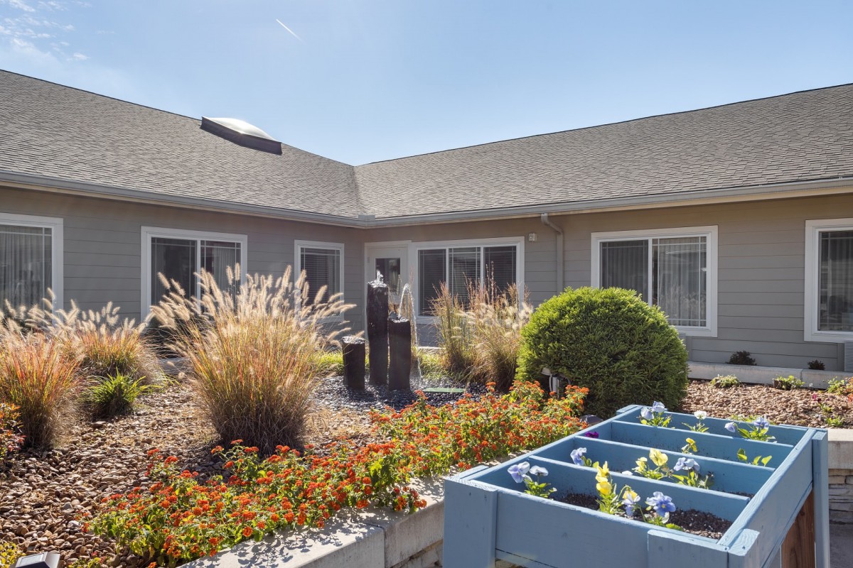 A well-maintained courtyard garden with various plants and modern landscaping features.