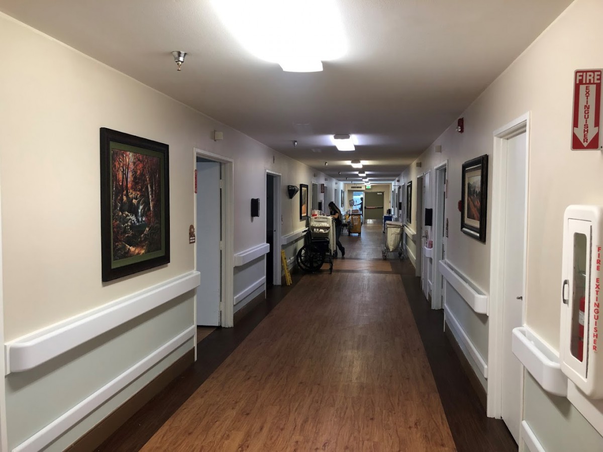 A long hospital corridor with paintings on the walls and bright overhead lighting.
