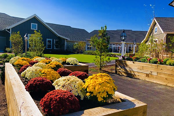 A beautifully landscaped garden with colorful flowers in front of a modern house.
