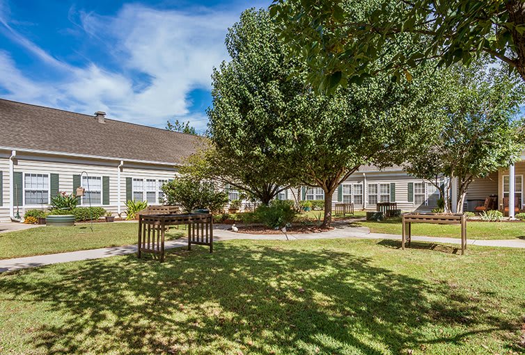 A peaceful garden scene with lush trees and a well-maintained building under a clear blue sky.