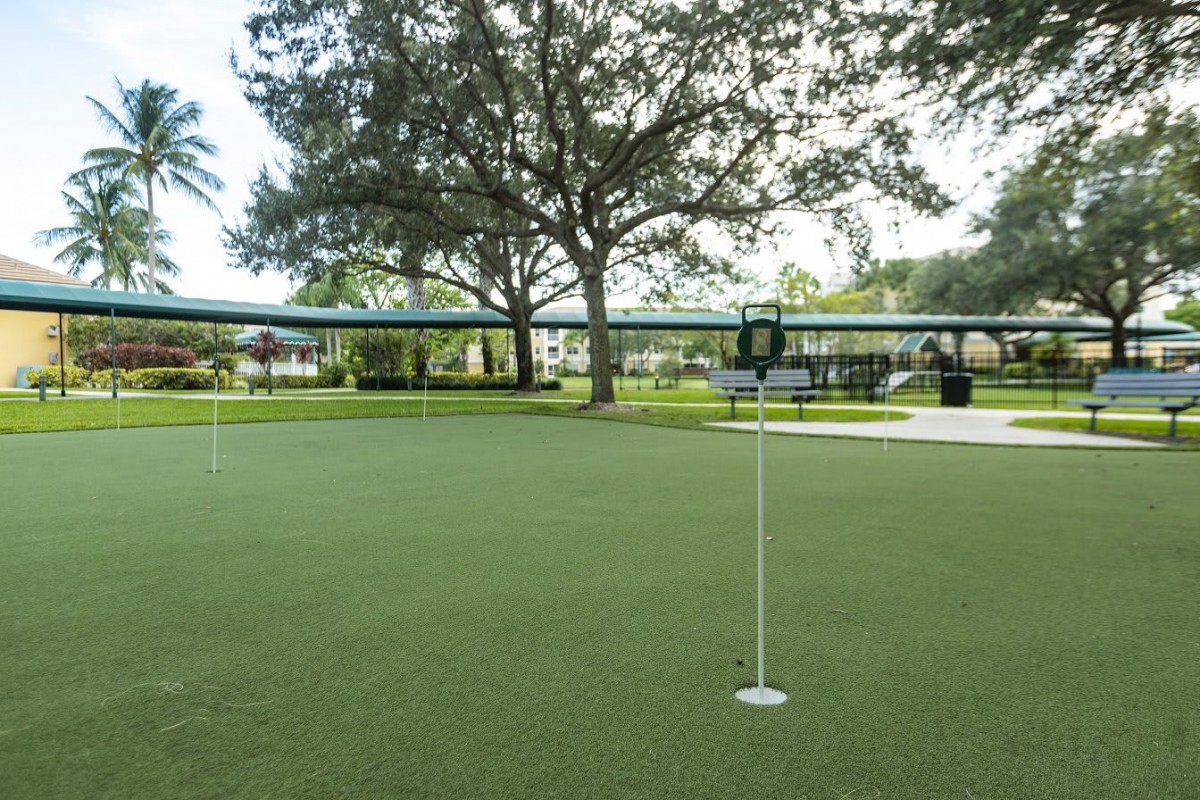 A serene putting green surrounded by lush trees and open space.