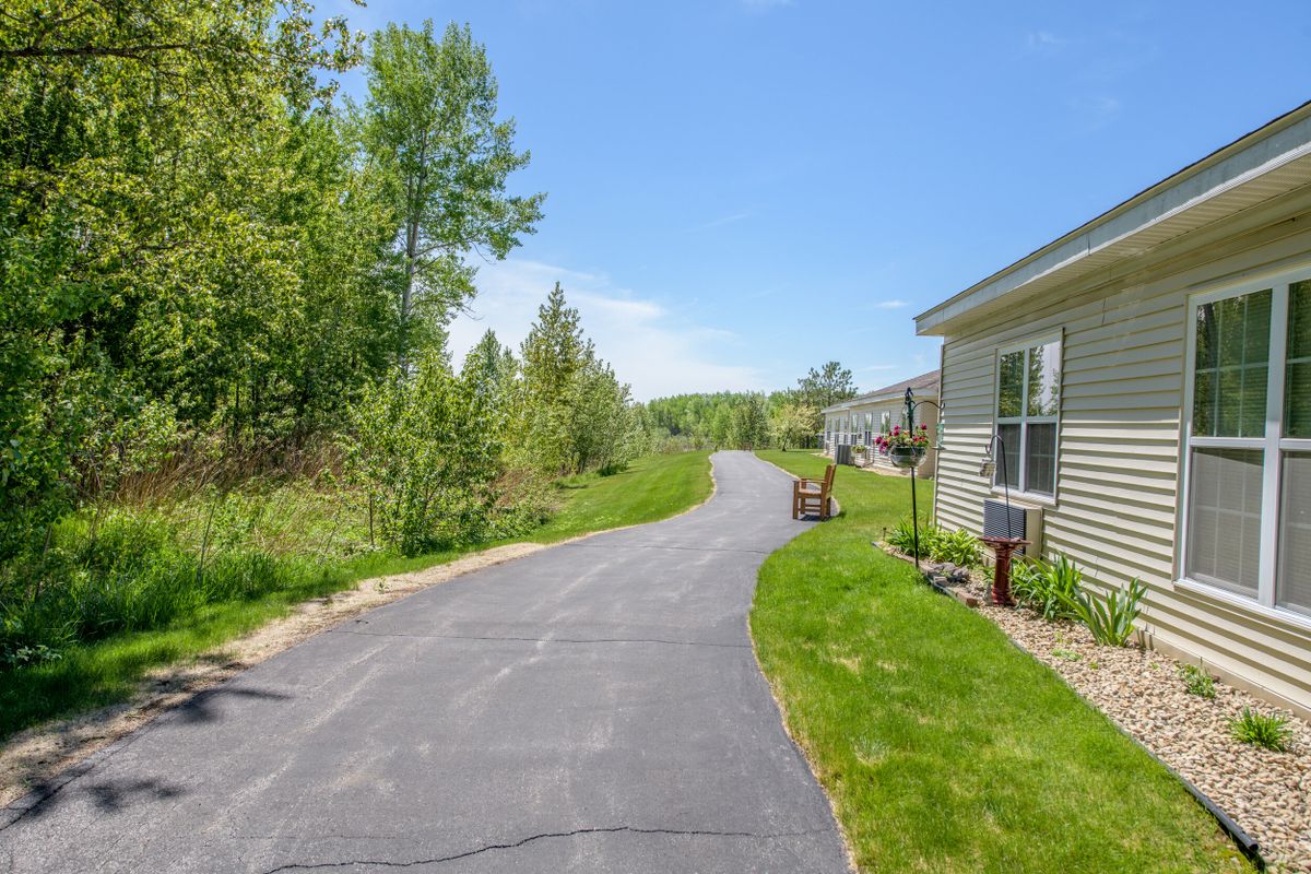 A sunny suburban driveway with green grass and trees lining the path.