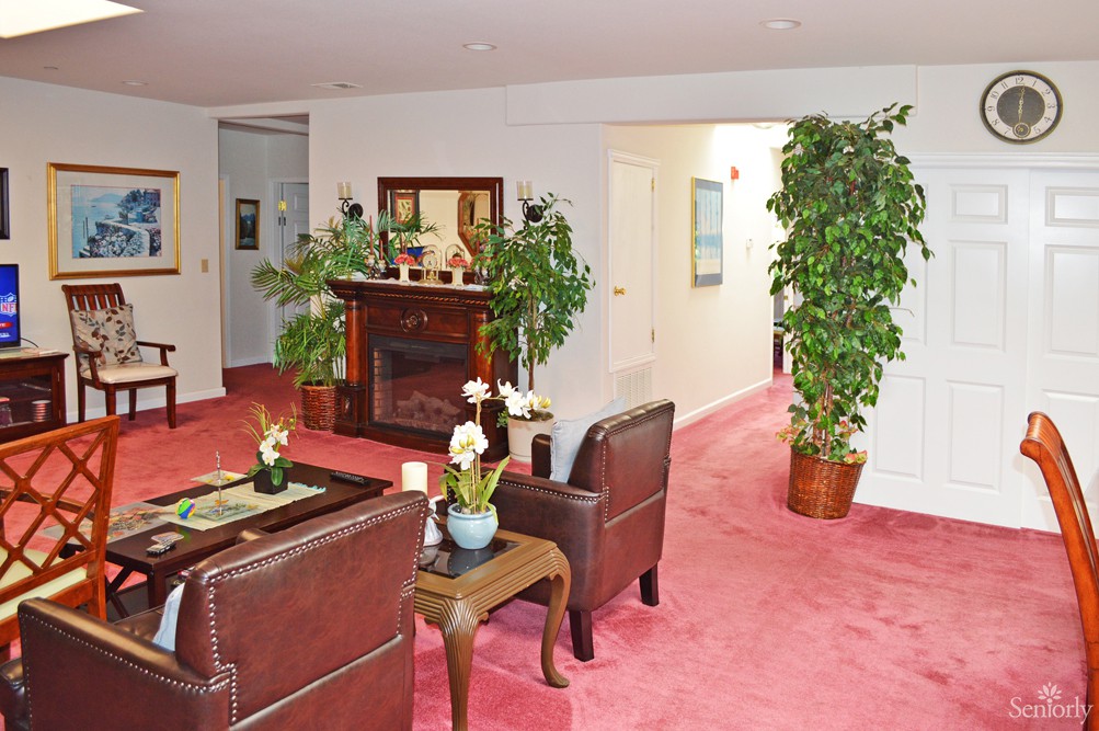 A cozy living room with a fireplace, leather chairs, and lush green plants.
