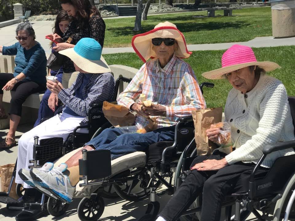 A group of elderly individuals in wheelchairs enjoying a sunny day at the park, wearing colorful hats.