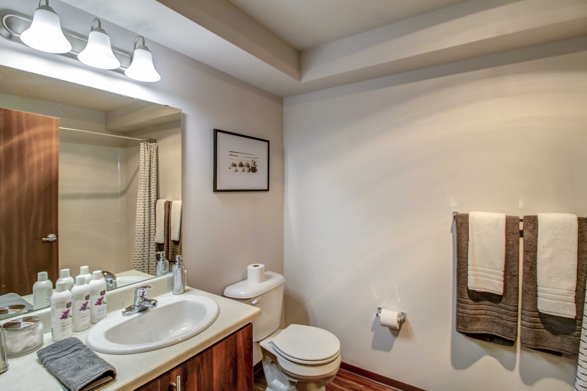 A modern bathroom with a sink, mirror, and toilet, featuring wooden accents.