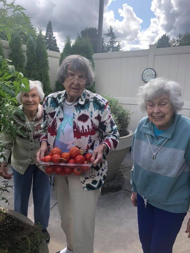 Three elderly women smile together in a garden, holding a tray full of freshly harvested tomatoes.