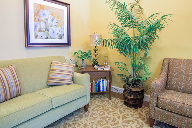 A cozy living room with a green sofa, large plant, and a small wooden side table adorned with decor items.