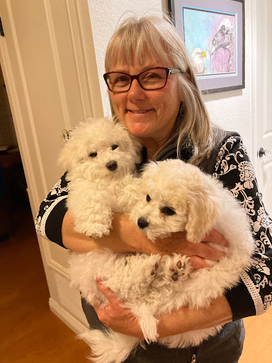 A joyful woman holding two fluffy white puppies, surrounded by a cozy indoor setting.