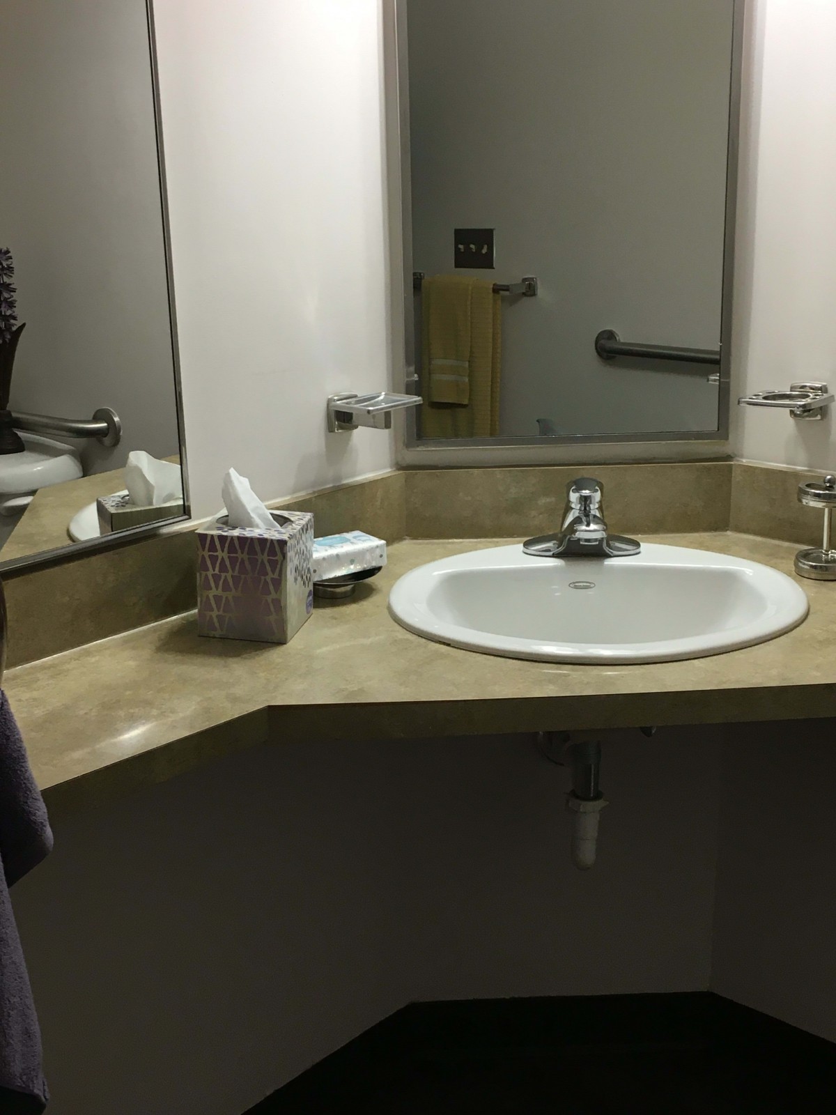 A bathroom countertop with a sink, mirror, and tissues.